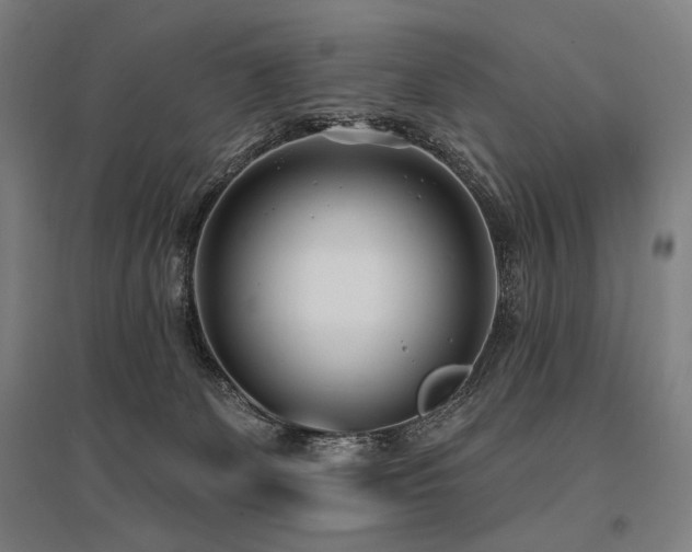 X0000096150131200801181211