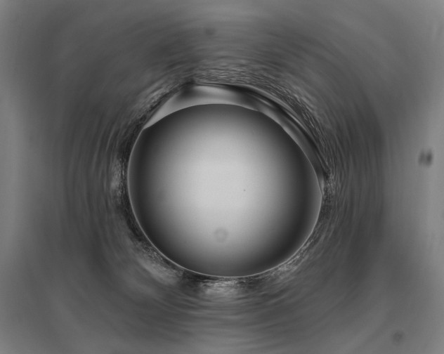 X0000096150132200801181211