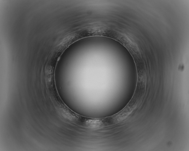 X0000096150133200801181211