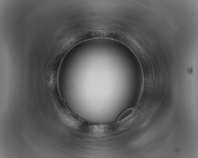 X0000096150134200801181211