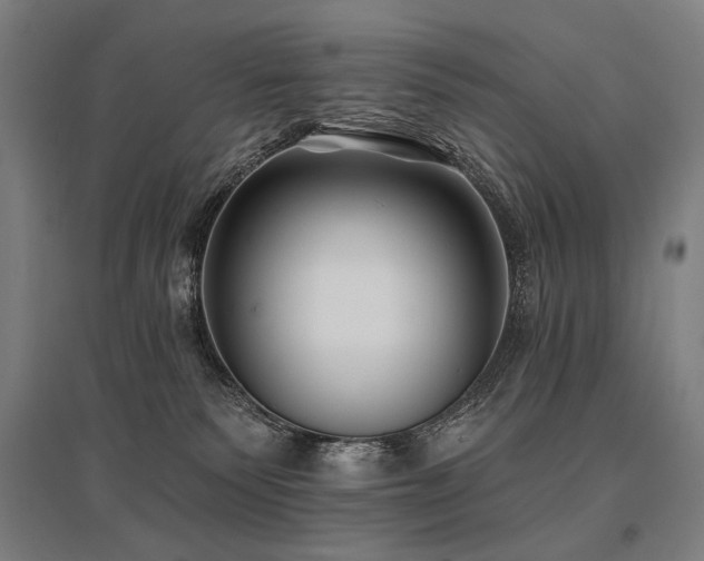 X0000096150135200801181211