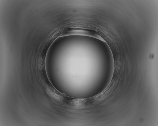 X0000096150136200801181211