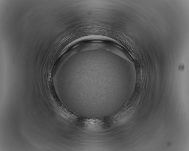 X0000096150137200801181211