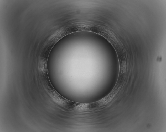 X0000096150138200801181211