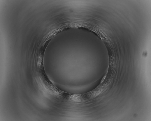 X0000096150139200801181211