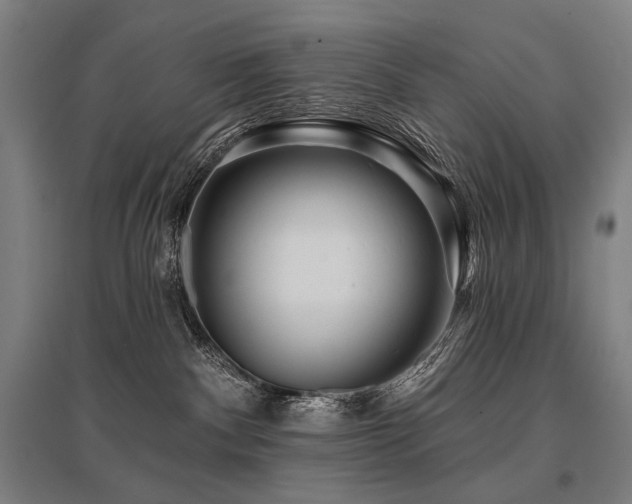 X0000096150140200801181211