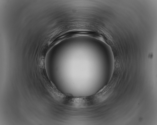 X0000096150141200801181211