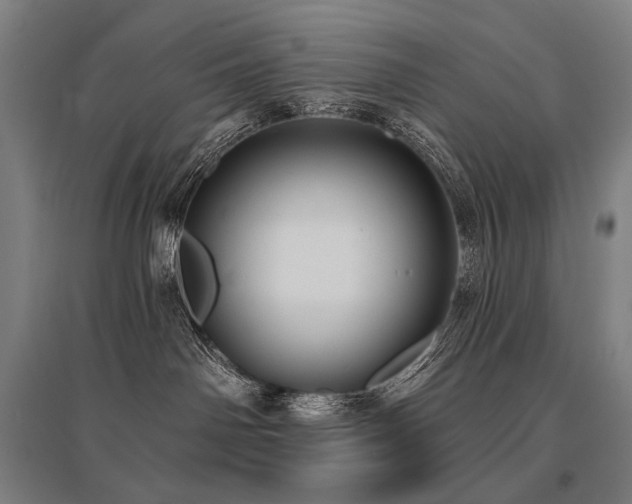 X0000096150142200801181211