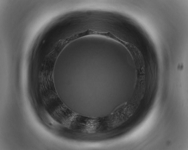 X0000096150143200801181211