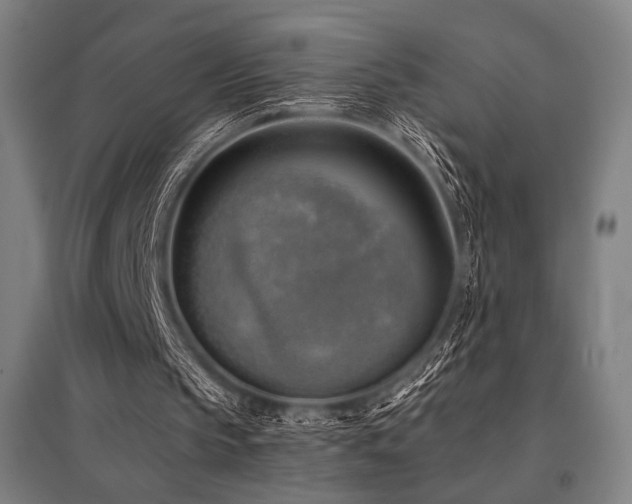 X0000096150145200801181210