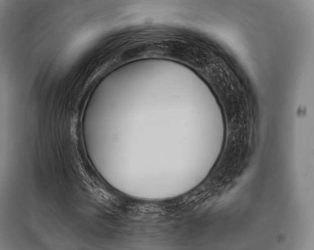 X0000096150146200801181210