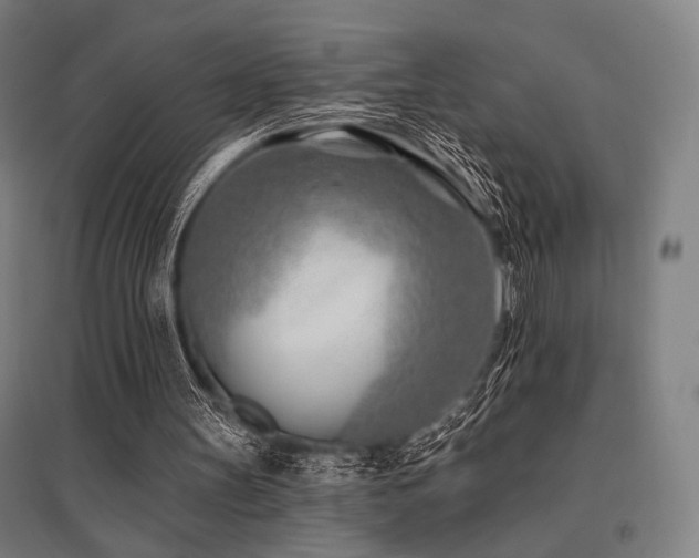 X0000096150147200801181210