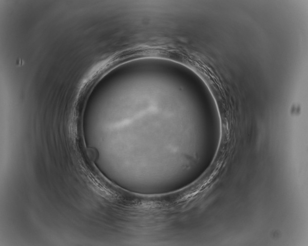 X0000096150149200801181210