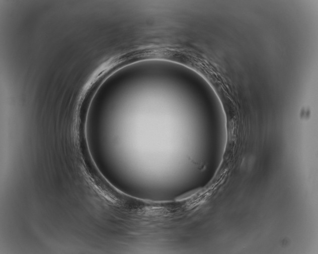 X0000096150150200801181210