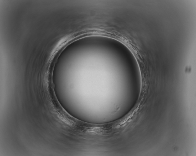 X0000096150151200801181210