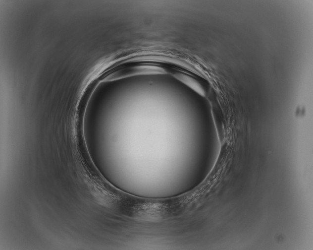 X0000096150152200801181210