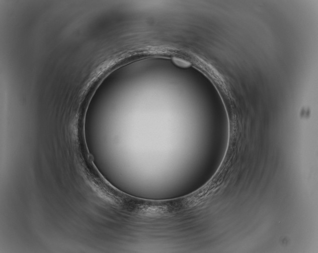 X0000096150155200801181210