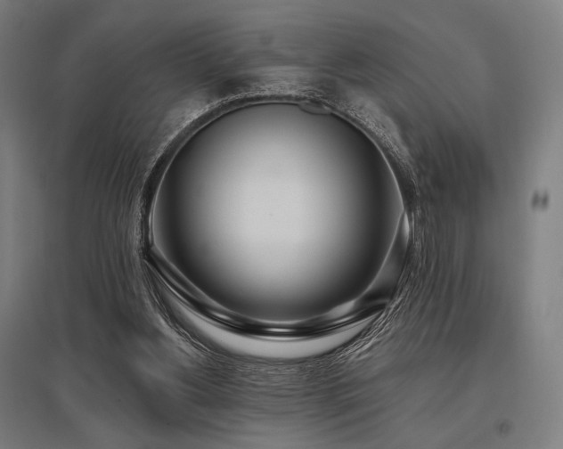 X0000096150156200801181210
