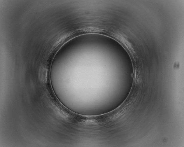 X0000096150157200801181210