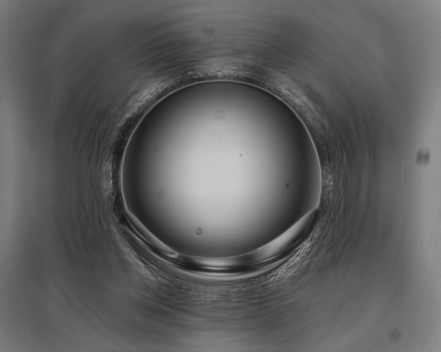 X0000096150158200801181210