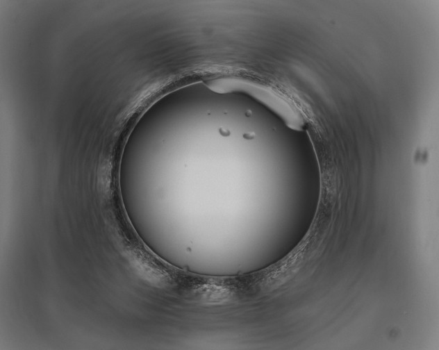 X0000096150159200801181210