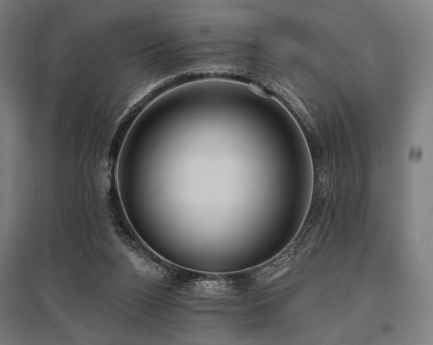 X0000096150160200801181210
