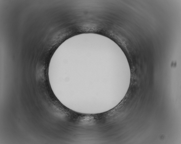 X0000096150162200801181210