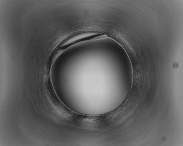 X0000096150164200801181210