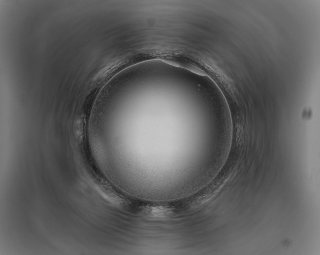 X0000096150165200801181210