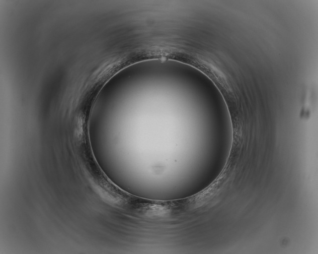 X0000096150166200801181210