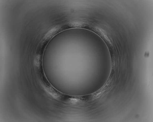X0000096150167200801181210