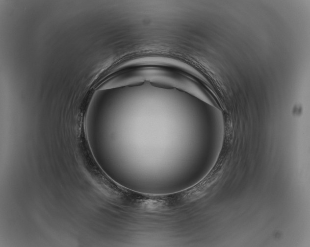 X0000096150168200801181210