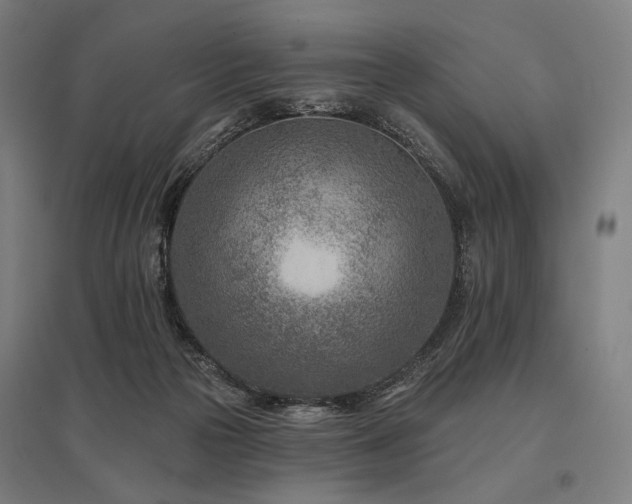 X0000096150169200801181210