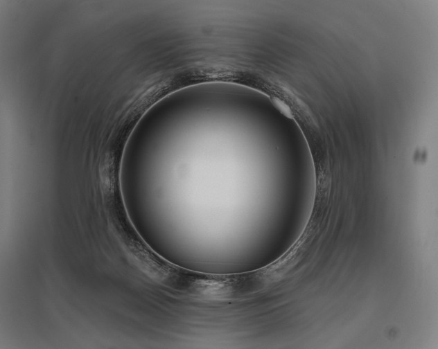 X0000096150170200801181210