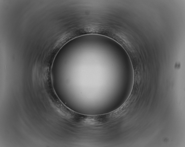 X0000096150171200801181210