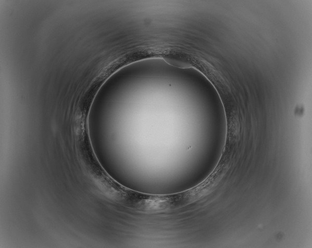 X0000096150172200801181210