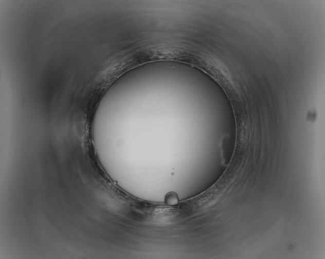 X0000096150173200801181210
