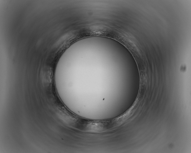 X0000096150174200801181210