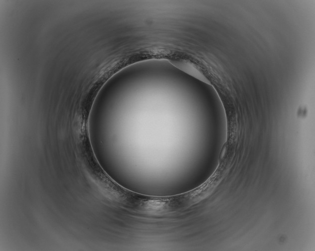 X0000096150176200801181210