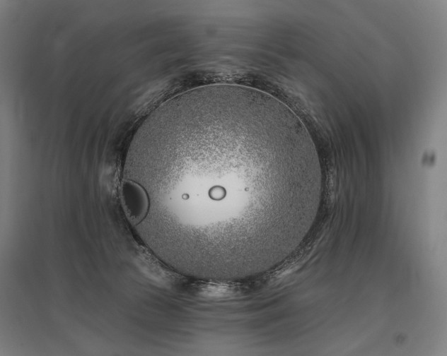 X0000096150177200801181210