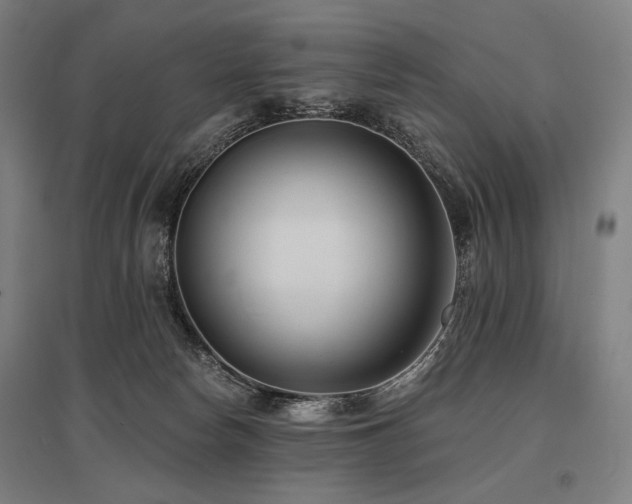 X0000096150178200801181210