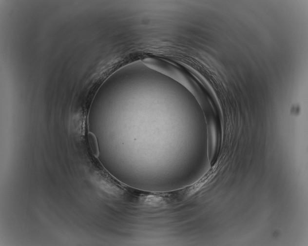 X0000096150180200801181211