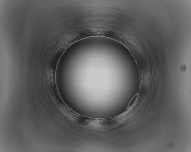 X0000096150182200801181211