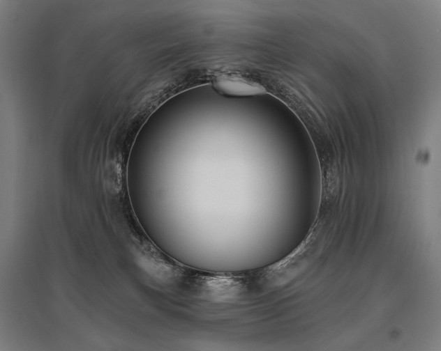 X0000096150183200801181211