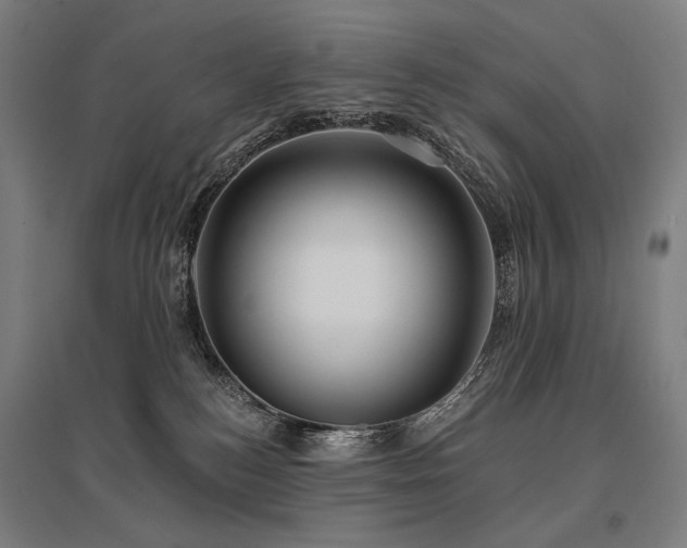 X0000096150184200801181211