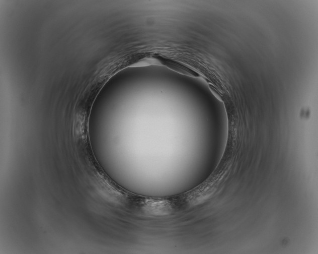 X0000096150185200801181211