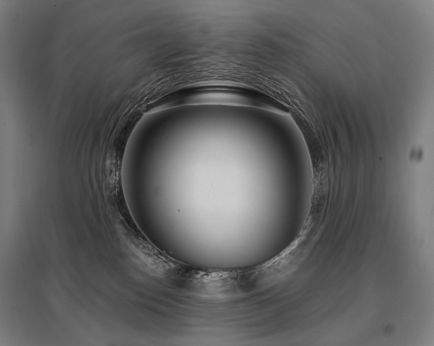 X0000096150186200801181211