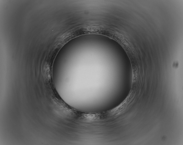 X0000096150187200801181211