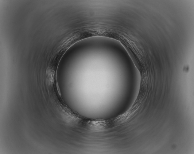 X0000096150188200801181211