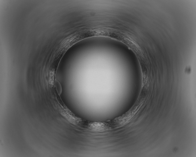 X0000096150189200801181211